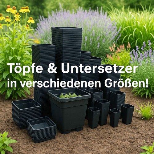 Blumen topf mit untersetzer - topf,